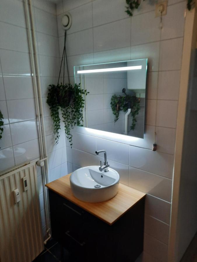 Apartment Duinvos 150M From The Beach Noordwijk Eksteriør billede